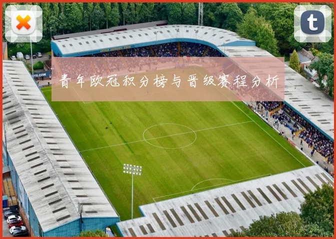 青年欧冠积分榜与晋级赛程分析